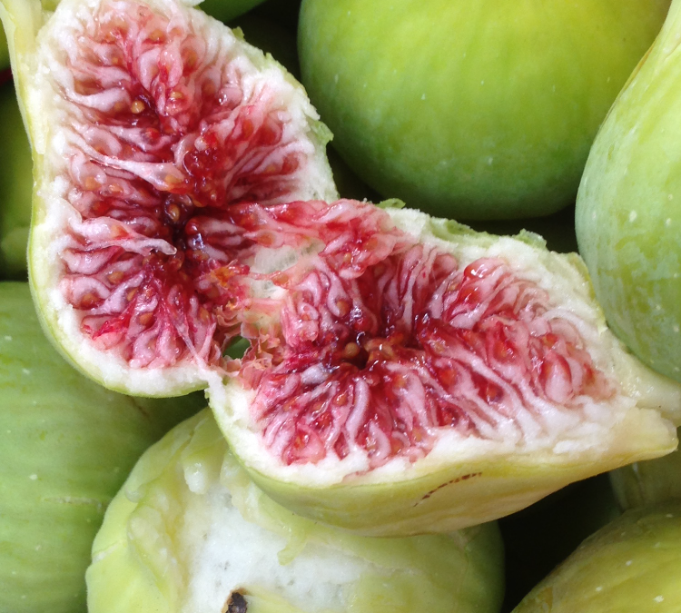 The beautiful secret of figs